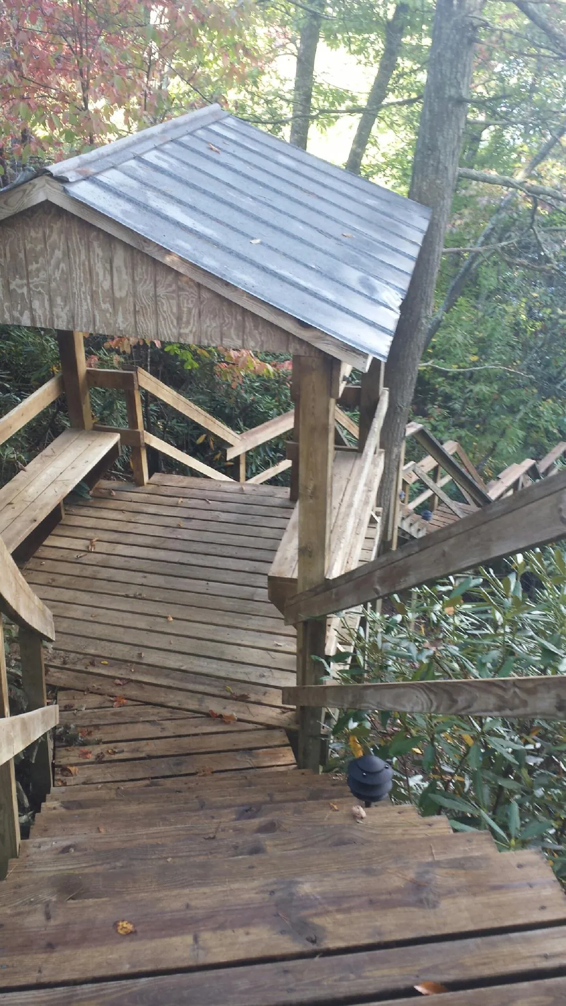 Metal roofed shelter over wooden steps on a wooded walkway — Skylight Repair & Installation work by our crew in Belding
