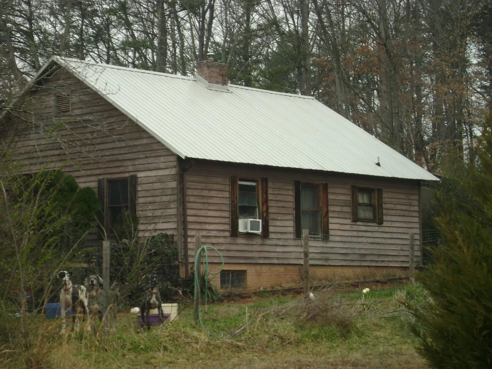 White metal roof on an old wood sided farmhouse, from a Asphalt Shingle Roof Repair job in Belding